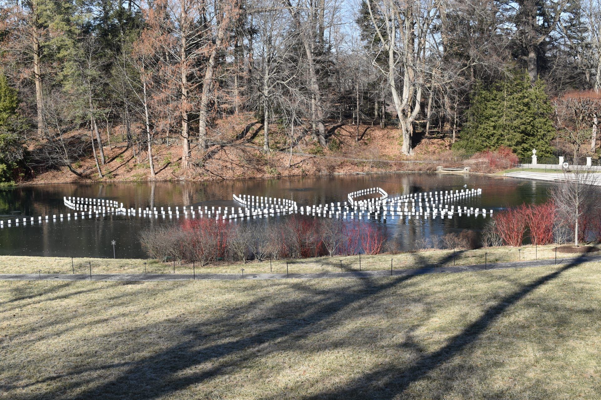 Serene pond with geese in autumn