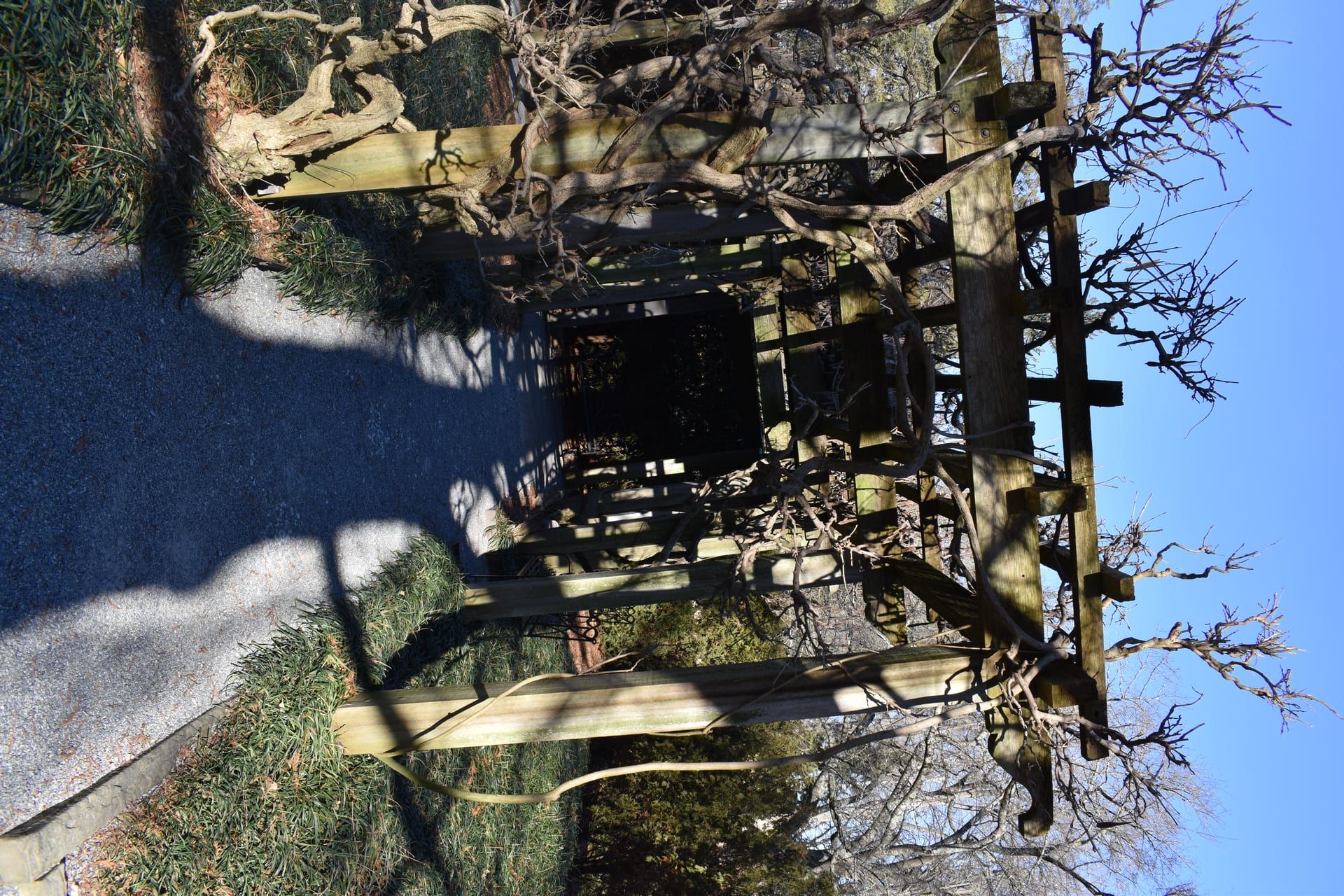 Garden pergola and pathways