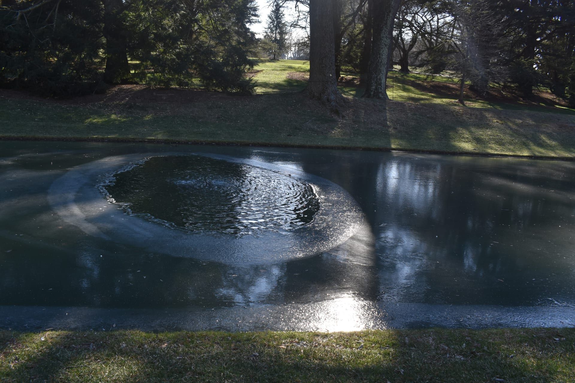 Garden landscape view