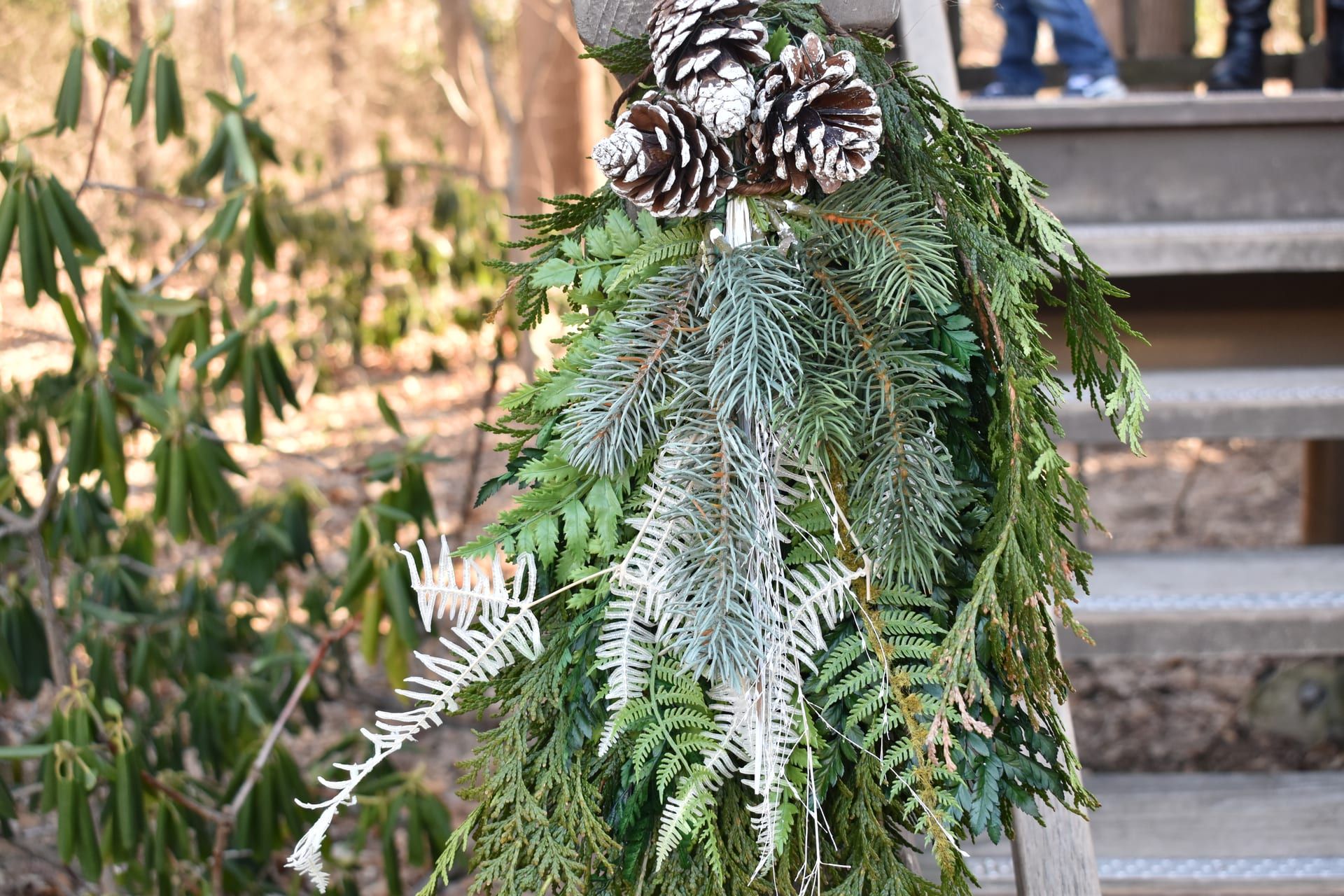 Peaceful nature setting