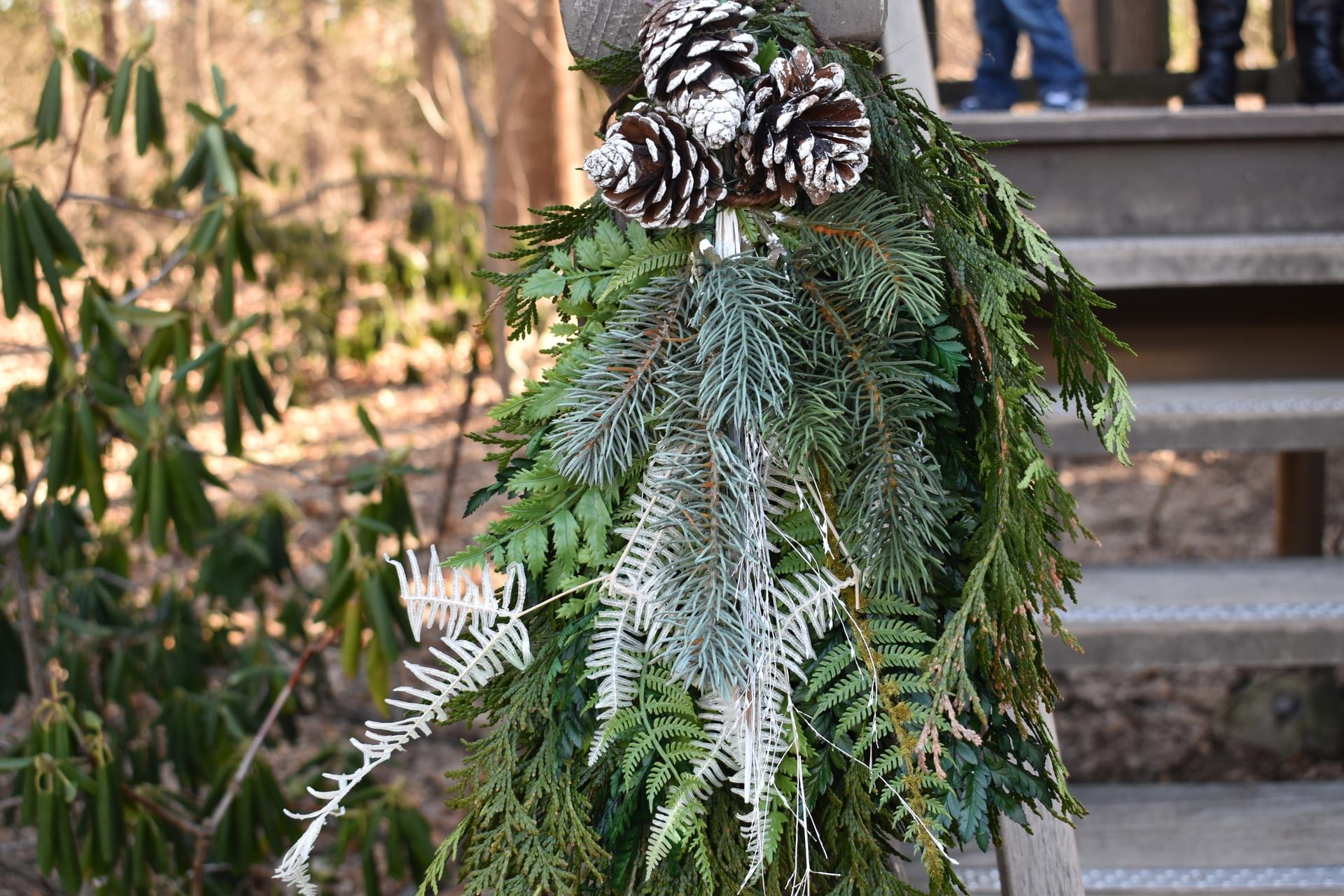 Botanical garden beauty