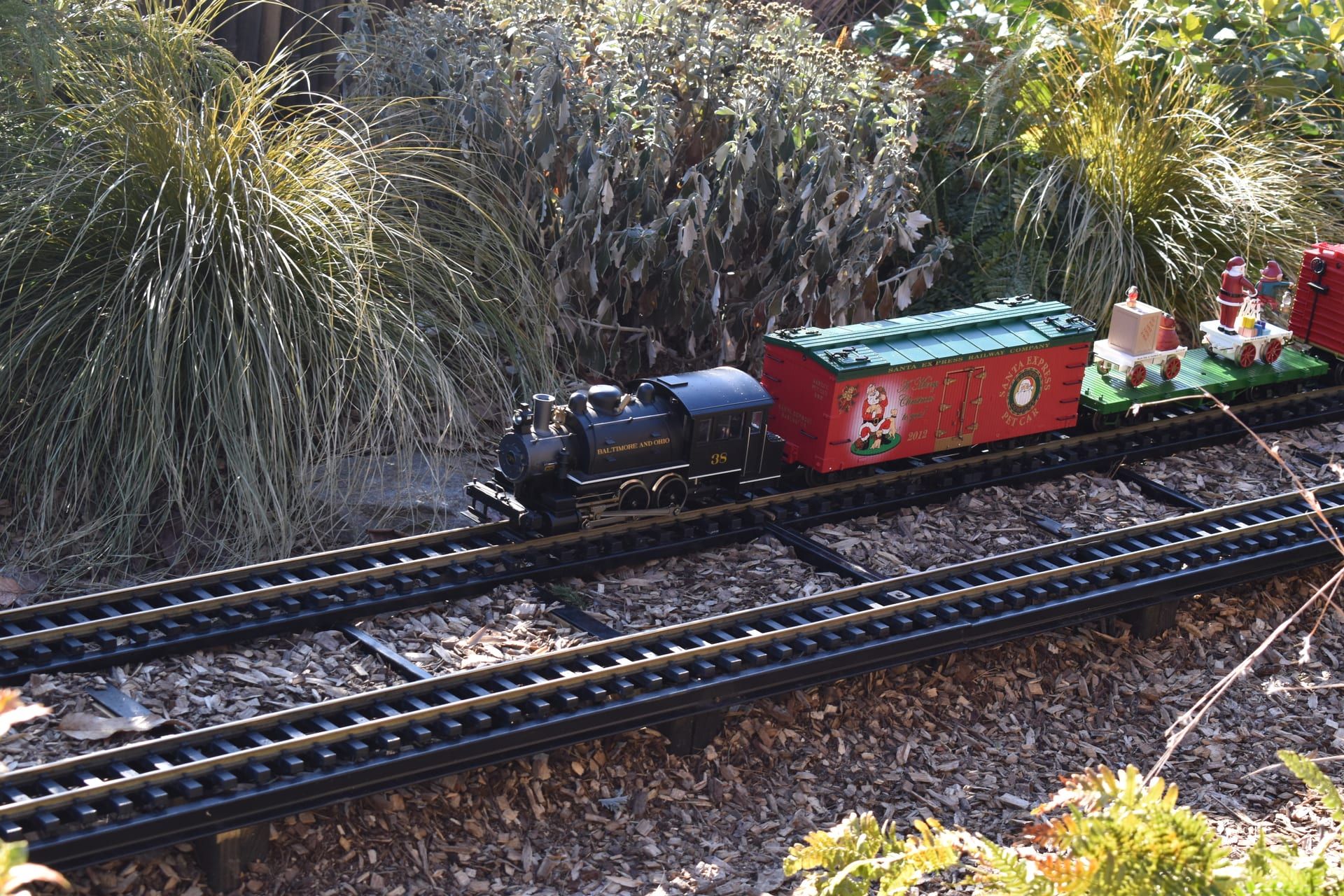 Garden in winter light